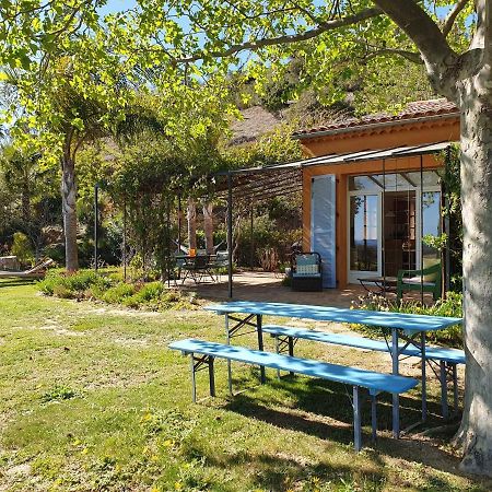 Villa House With Garden And Sea View La Londe-les-Maures Exterior foto