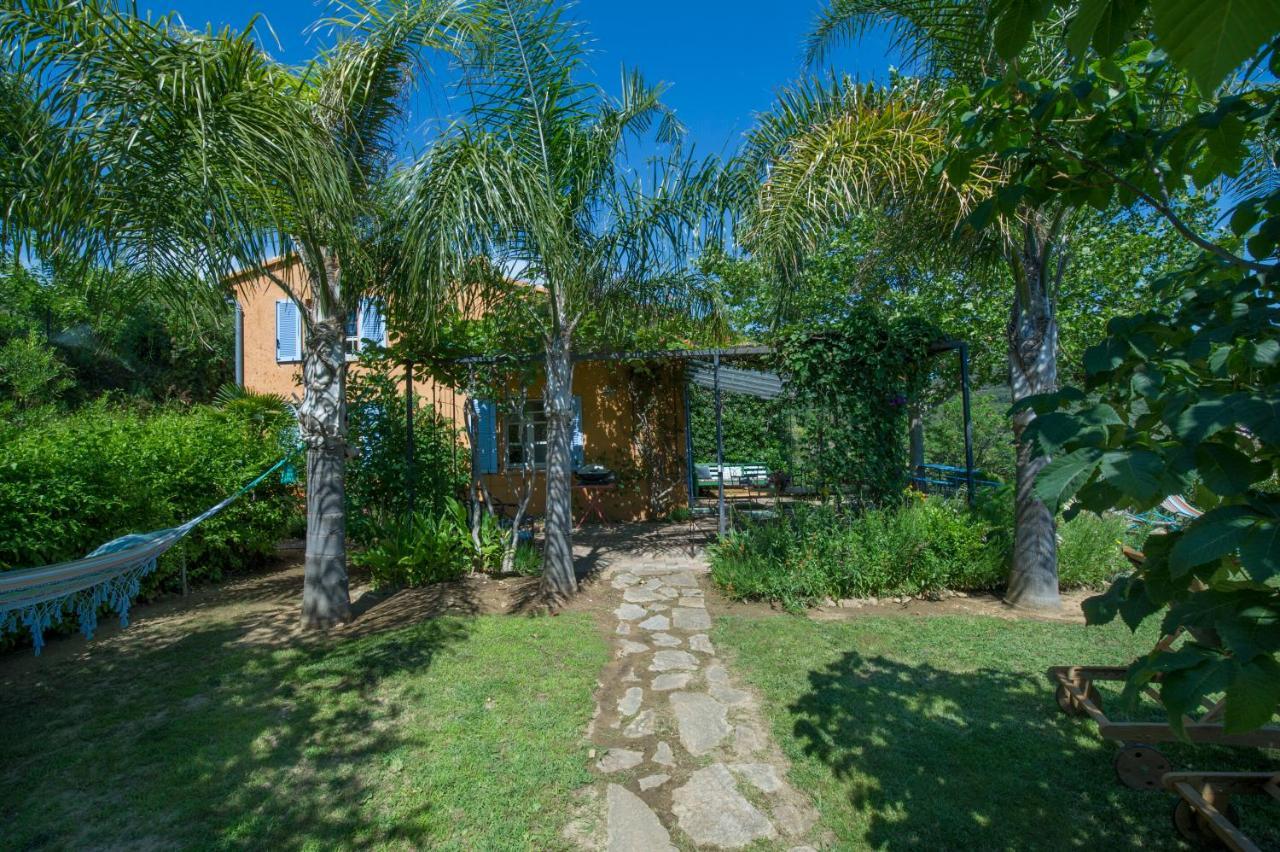 Villa House With Garden And Sea View La Londe-les-Maures Exterior foto