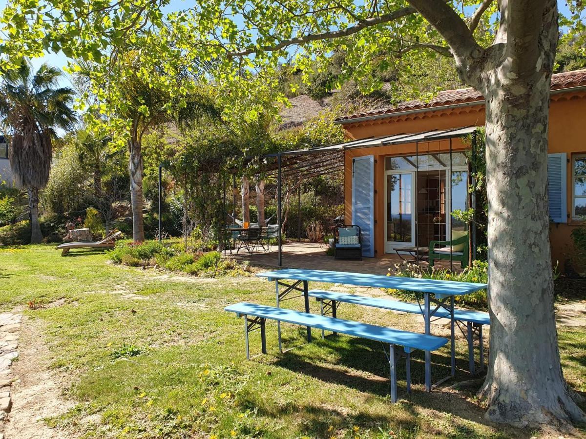Villa House With Garden And Sea View La Londe-les-Maures Exterior foto