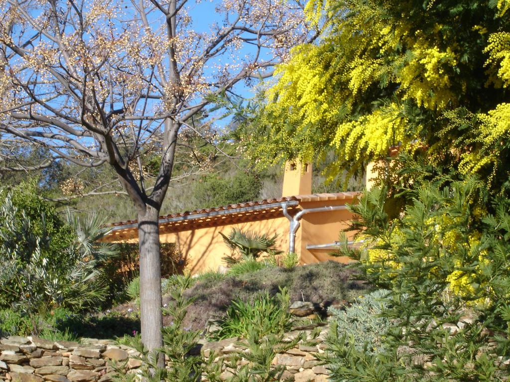 Villa House With Garden And Sea View La Londe-les-Maures Zimmer foto