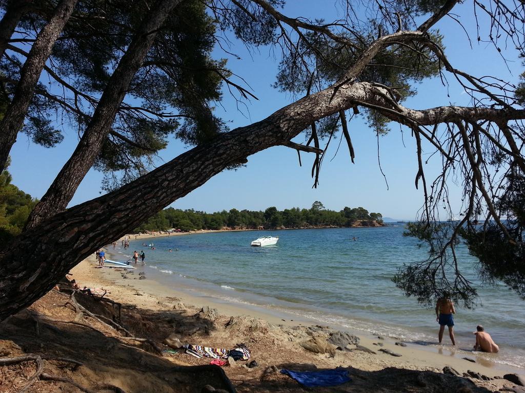 Villa House With Garden And Sea View La Londe-les-Maures Zimmer foto